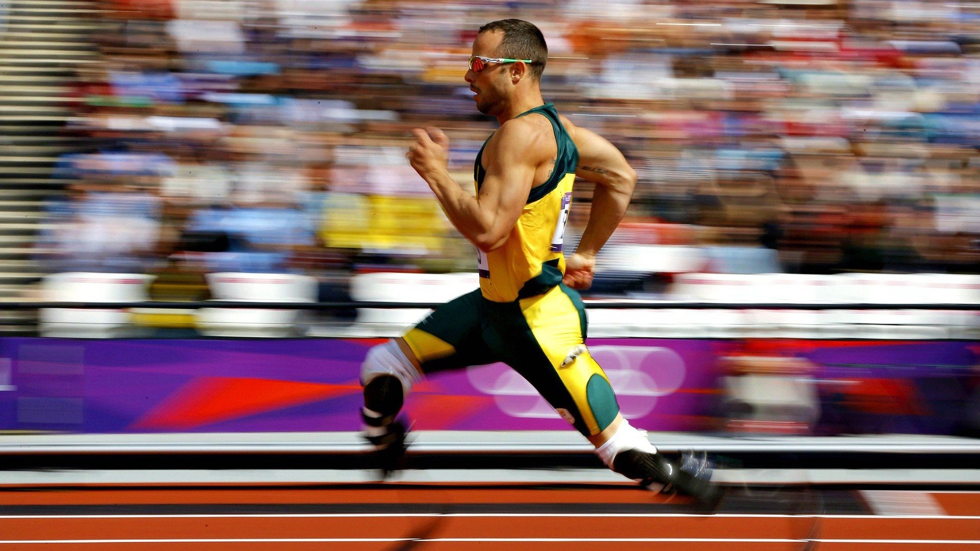 穆雷迎来十赛季高光表现，加拿大队球迷沸腾！